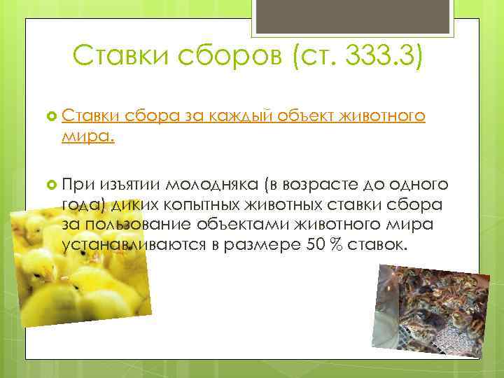Ставки сборов (ст. 333. 3) Ставки сбора за каждый объект животного мира. При изъятии