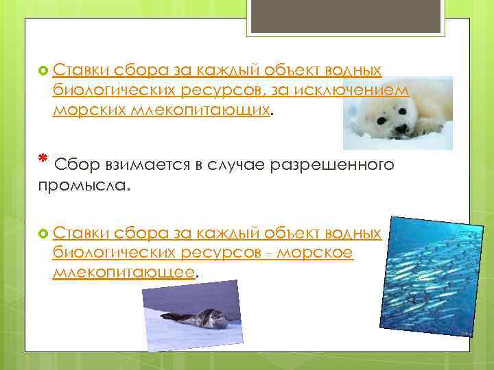  Ставки сбора за каждый объект водных биологических ресурсов, за исключением морских млекопитающих. *