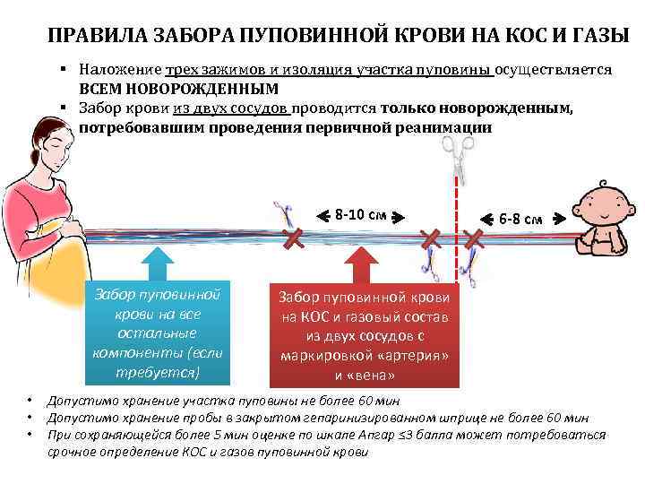 ПРАВИЛА ЗАБОРА ПУПОВИННОЙ КРОВИ НА КОС И ГАЗЫ § Наложение трех зажимов и изоляция