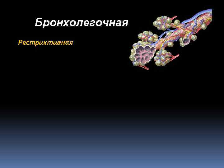 Бронхолегочная Рестриктивная 