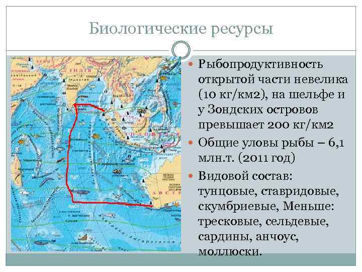 Природные ресурсы индийского океана кратко