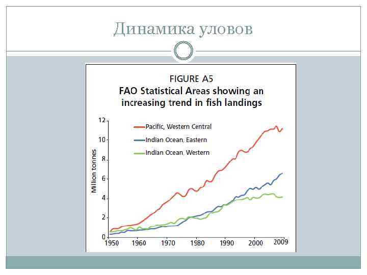 Динамика уловов 