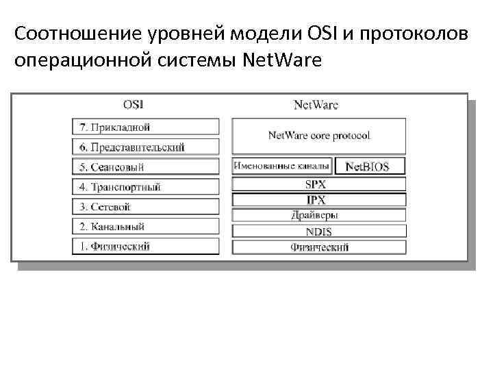 Соотношение уровней модели OSI и протоколов операционной системы Net. Ware 