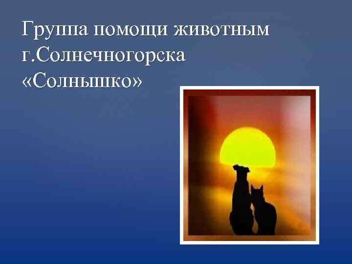 Группа помощи животным г. Солнечногорска «Солнышко» 