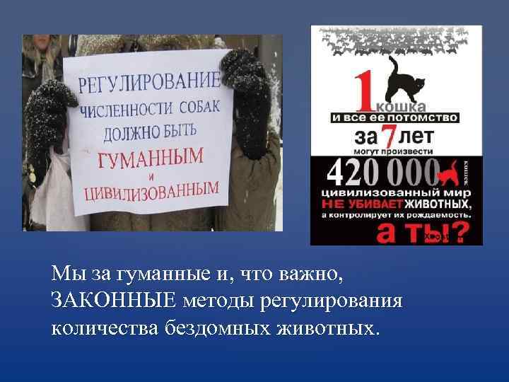 Мы за гуманные и, что важно, ЗАКОННЫЕ методы регулирования количества бездомных животных. 