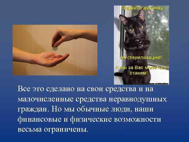 Все это сделано на свои средства и на малочисленные средства неравнодушных граждан. Но мы