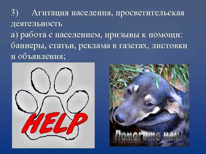 3) Агитация населения, просветительская деятельность а) работа с населением, призывы к помощи: баннеры, статьи,