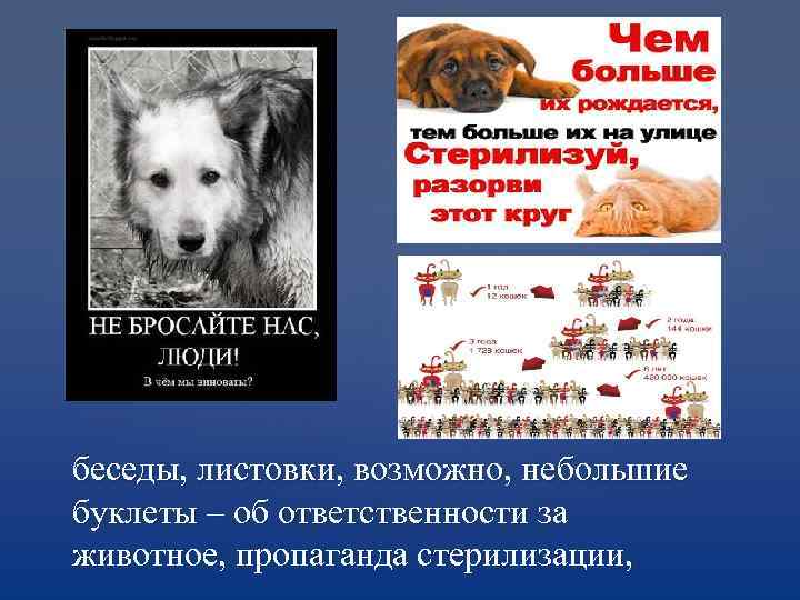 беседы, листовки, возможно, небольшие буклеты – об ответственности за животное, пропаганда стерилизации, 