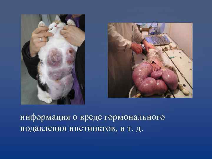информация о вреде гормонального подавления инстинктов, и т. д. 