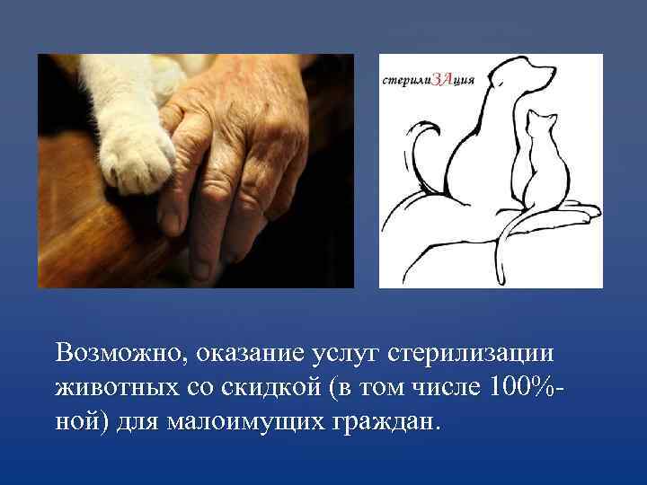 Возможно, оказание услуг стерилизации животных со скидкой (в том числе 100%ной) для малоимущих граждан.