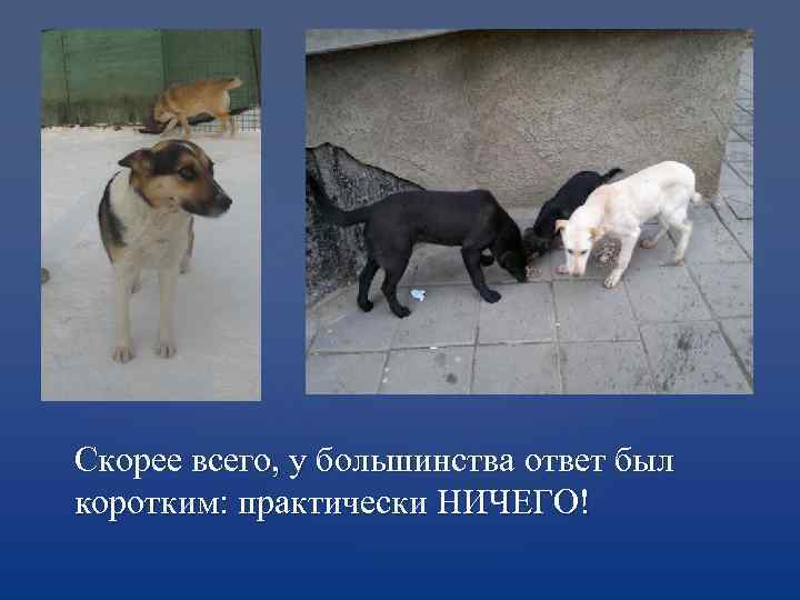 Скорее всего, у большинства ответ был коротким: практически НИЧЕГО! 