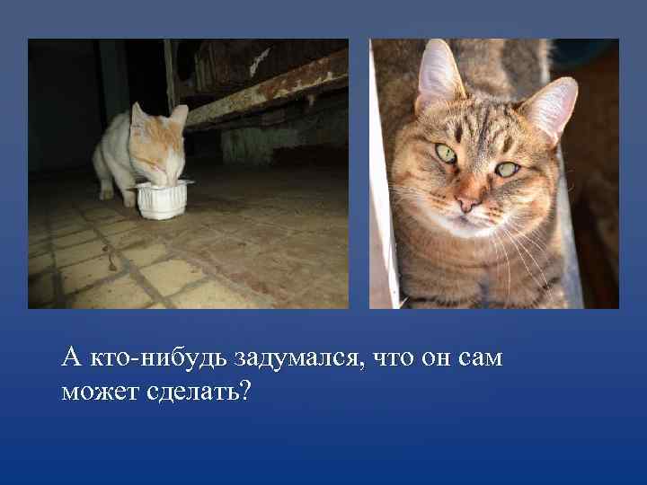 А кто-нибудь задумался, что он сам может сделать? 