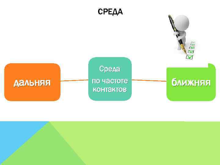 СРЕДА дальняя Среда по частоте контактов ближняя 