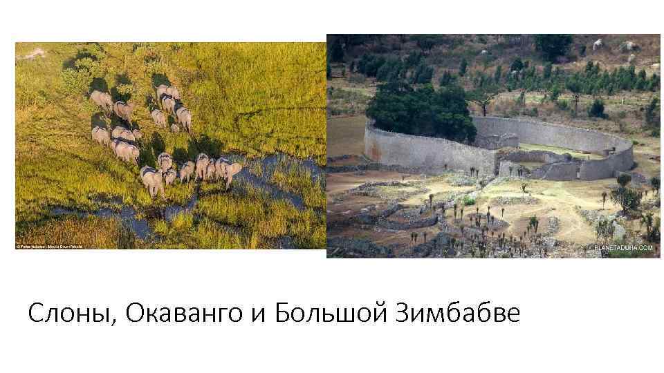 Слоны, Окаванго и Большой Зимбабве 