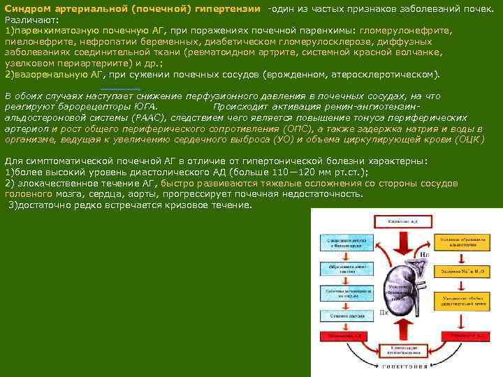 Синдром артериальной (почечной) гипертензии -один из частых признаков заболеваний почек. Различают: 1)паренхиматозную почечную АГ,