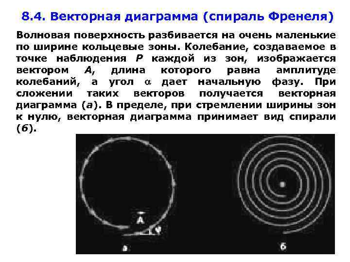 8. 4. Векторная диаграмма (спираль Френеля) Волновая поверхность разбивается на очень маленькие по ширине