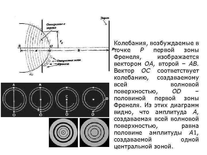 Колебания, возбуждаемые в точке P первой зоны Френеля, изображается вектором OA, второй – AB.