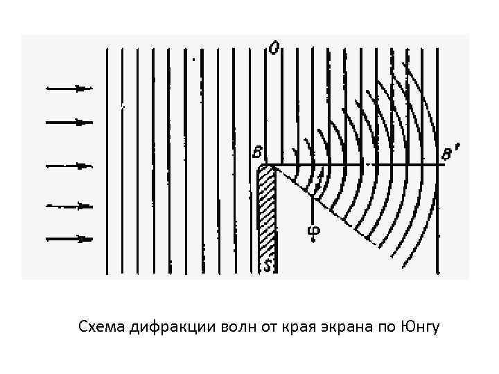 Схема дифракции волн от края экрана по Юнгу 
