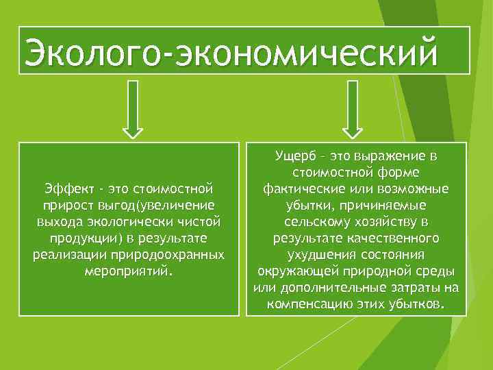 Эколого-экономический Эффект - это стоимостной прирост выгод(увеличение выхода экологически чистой продукции) в результате реализации