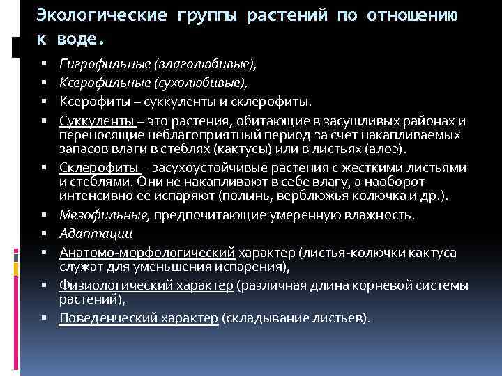 Экологические группы растений по отношению к воде. Гигрофильные (влаголюбивые), Ксерофильные (сухолюбивые), Ксерофиты – суккуленты