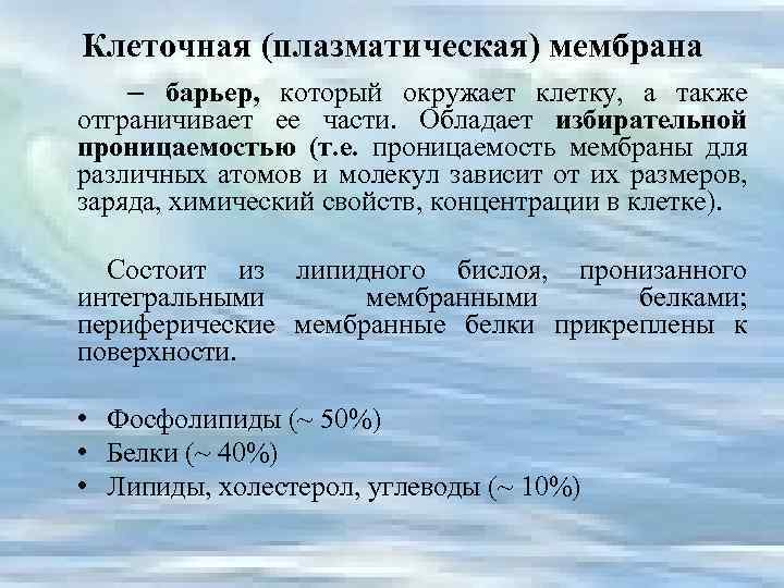 Клеточная (плазматическая) мембрана – барьер, который окружает клетку, а также отграничивает ее части. Обладает