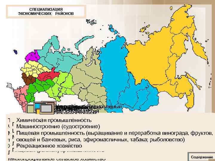 СПЕЦИАЛИЗАЦИЯ ЭКОНОМИЧЕСКИХ РАЙОНОВ Центрально Черноземный Северный Центральный Северо Западный Восточно Сибирский Волго Вятский Уральский