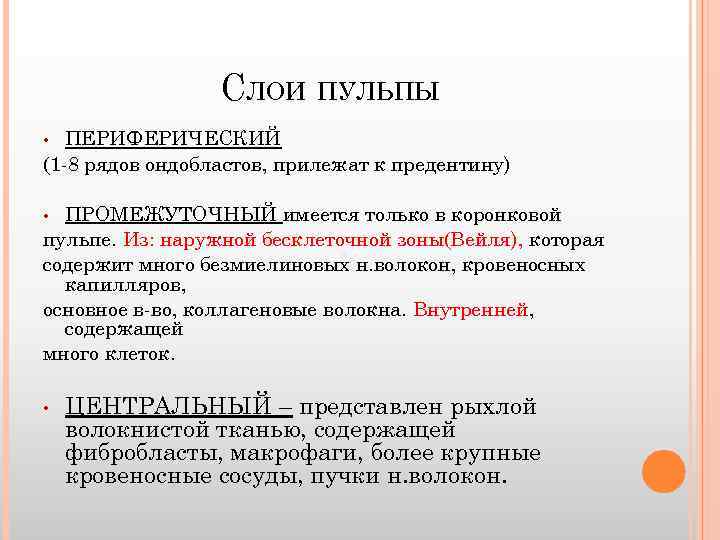 СЛОИ ПУЛЬПЫ ПЕРИФЕРИЧЕСКИЙ (1 -8 рядов ондобластов, прилежат к предентину) • ПРОМЕЖУТОЧНЫЙ имеется только