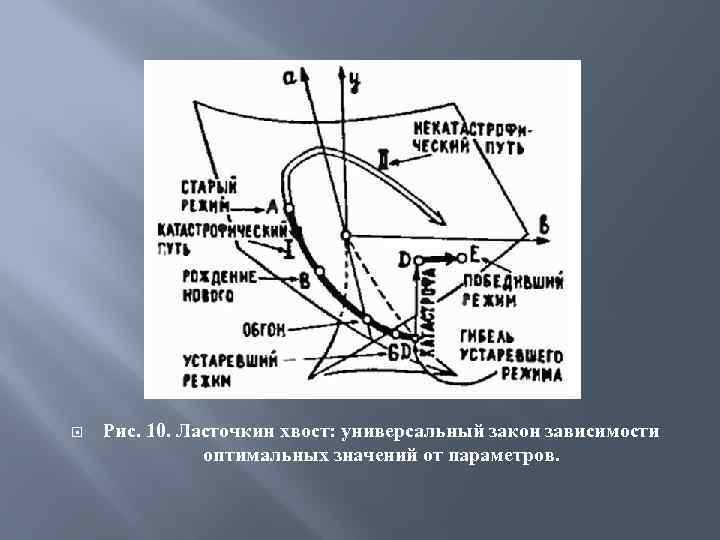  Рис. 10. Ласточкин хвост: универсальный закон зависимости оптимальных значений от параметров. 