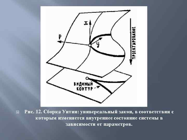 Закон размер. Теория особенностей Уитни. Уитни теория катастроф. Сборка Уитни. Теория катастроф Тип сборка.