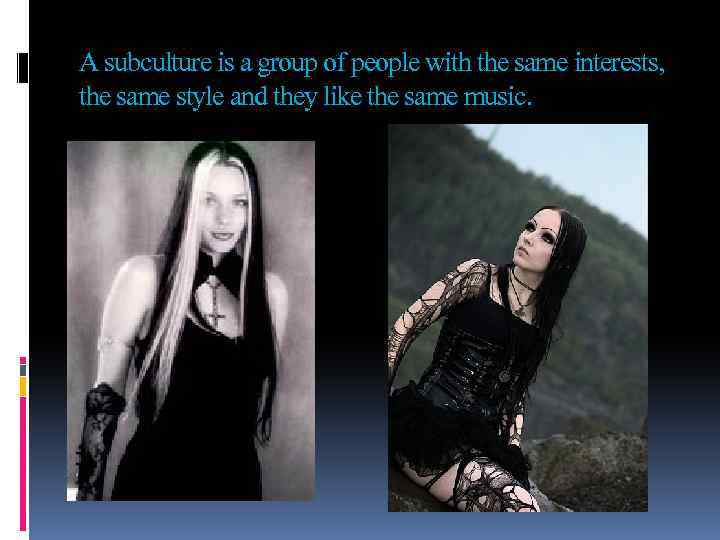 A subculture is a group of people with the same interests, the same style