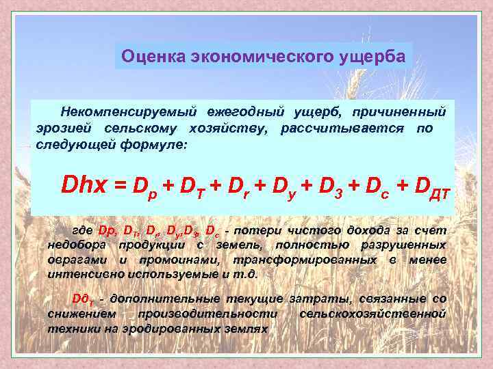 Оценка экономического ущерба Некомпенсируемый ежегодный ущерб, причиненный эрозией сельскому хозяйству, рассчитывается по следующей формуле: