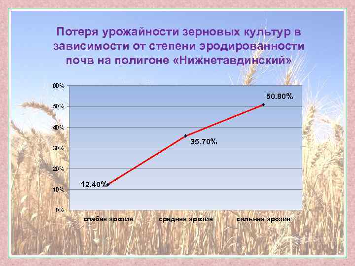 Потеря урожайности зерновых культур в зависимости от степени эродированности почв на полигоне «Нижнетавдинский» 60%