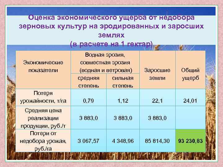 Оценка экономического ущерба от недобора зерновых культур на эродированных и заросших землях (в расчете