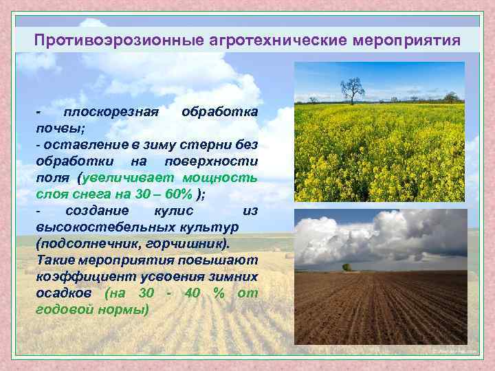 Противоэрозионные агротехнические мероприятия плоскорезная обработка почвы; - оставление в зиму стерни без обработки на