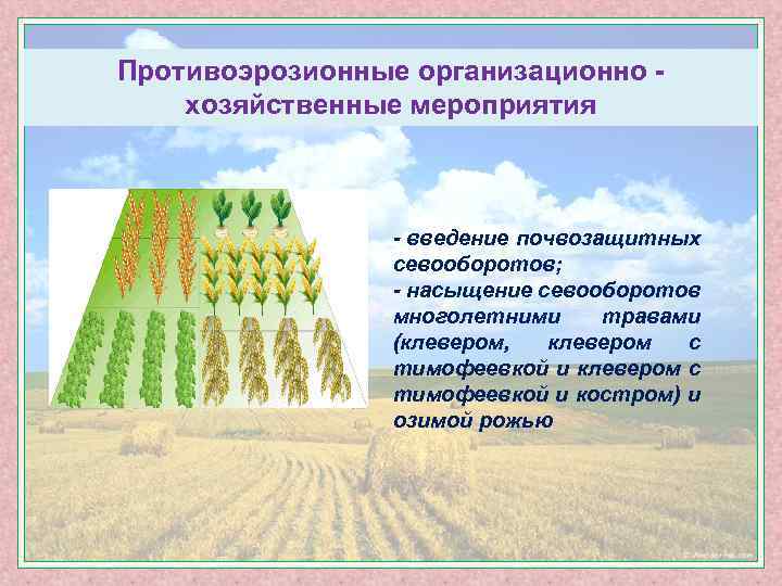 Противоэрозионные организационно - хозяйственные мероприятия - введение почвозащитных севооборотов; - насыщение севооборотов многолетними травами