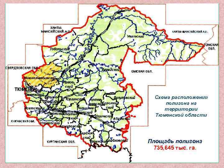 Схема расположения полигона на территории Тюменской области Площадь полигона 735, 645 тыс. га. 