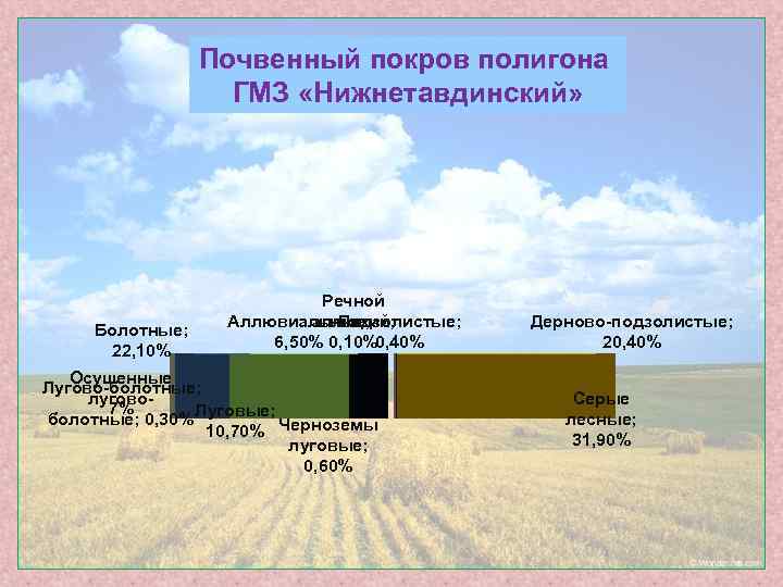 Почвенный покров полигона ГМЗ «Нижнетавдинский» Болотные; 22, 10% Речной Аллювиальные; Подзолистые; аллювий; 6, 50%