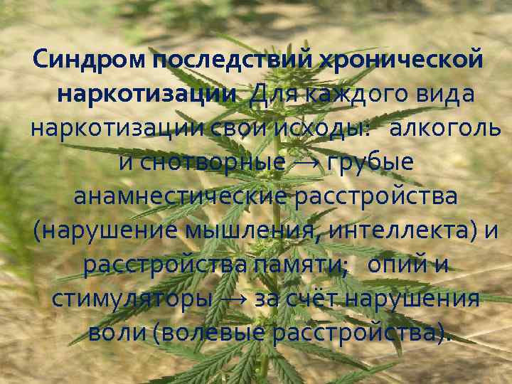 Синдром последствий хронической наркотизации Для каждого вида наркотизации свои исходы: алкоголь и снотворные →