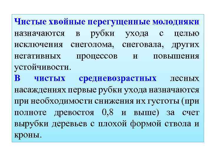 Чистые хвойные перегущенные молодняки назначаются в рубки ухода с целью исключения снеголома, снеговала, других
