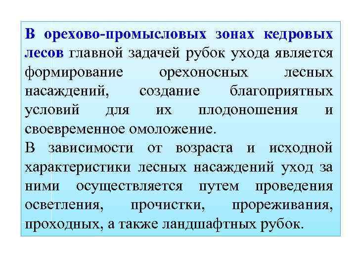 В орехово-промысловых зонах кедровых лесов главной задачей рубок ухода является формирование орехоносных лесных насаждений,