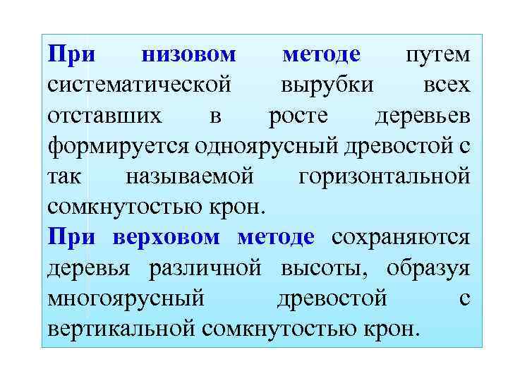 При низовом методе путем систематической вырубки всех отставших в росте деревьев формируется одноярусный древостой