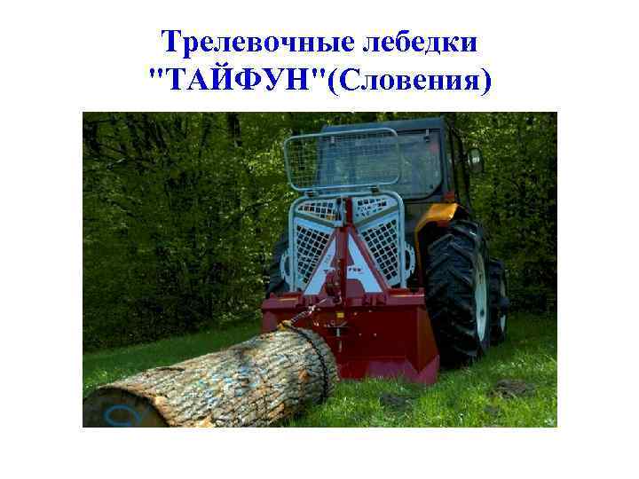 Трелевочные лебедки "ТАЙФУН"(Словения) 