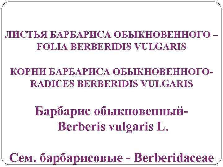 ЛИСТЬЯ БАРБАРИСА ОБЫКНОВЕННОГО – FOLIA BERBERIDIS VULGARIS КОРНИ БАРБАРИСА ОБЫКНОВЕННОГОRADICES BERBERIDIS VULGARIS Барбарис обыкновенный.