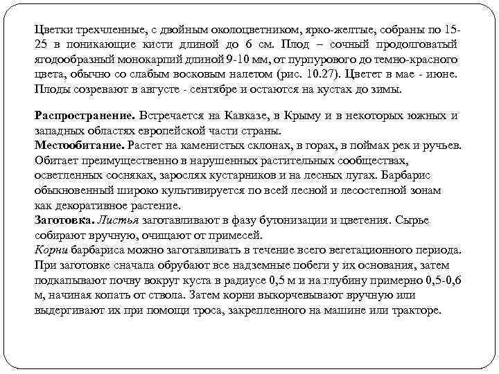 Цветки трехчленные, с двойным околоцветником, ярко-желтые, собраны по 1525 в поникающие кисти длиной до