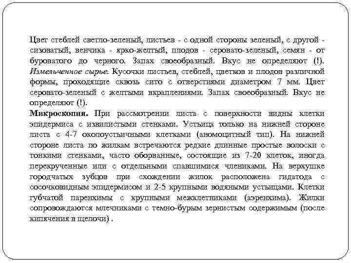 Цвет стеблей светло-зеленый, листьев - с одной стороны зеленый, с другой - сизоватый, венчика