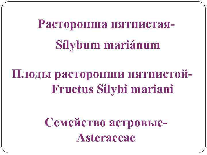 Расторопша пятнистая. Sílybum mariánum Плоды расторопши пятнистой. Fructus Silybi mariani Семейство астровые. Asteraceae 