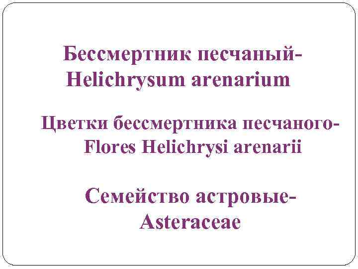 Бессмертник песчаный. Helichrysum arenarium Цветки бессмертника песчаного. Flores Helichrysi arenarii Семейство астровые. Asteraceae 