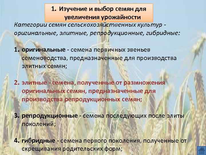 1. Изучение и выбор семян для увеличения урожайности Категории семян сельскохозяйственных культур оригинальные, элитные,