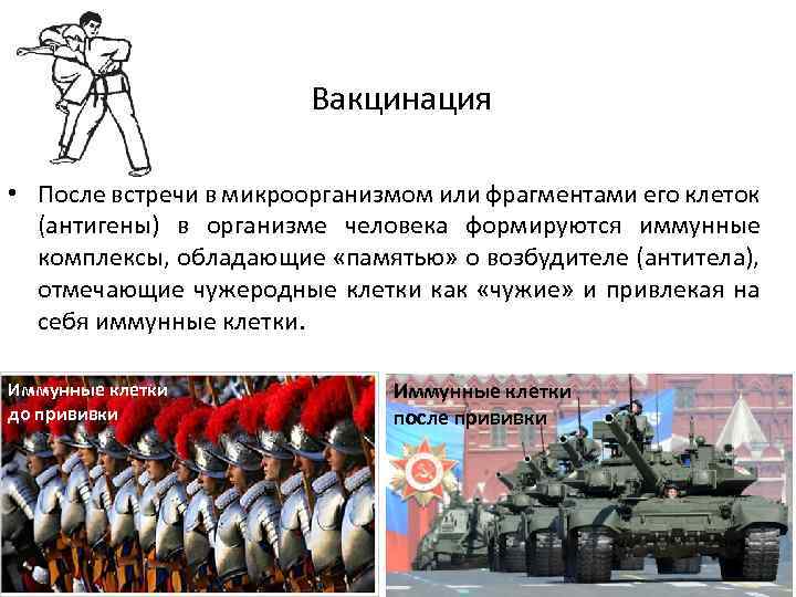 Вакцинация • После встречи в микроорганизмом или фрагментами его клеток (антигены) в организме человека