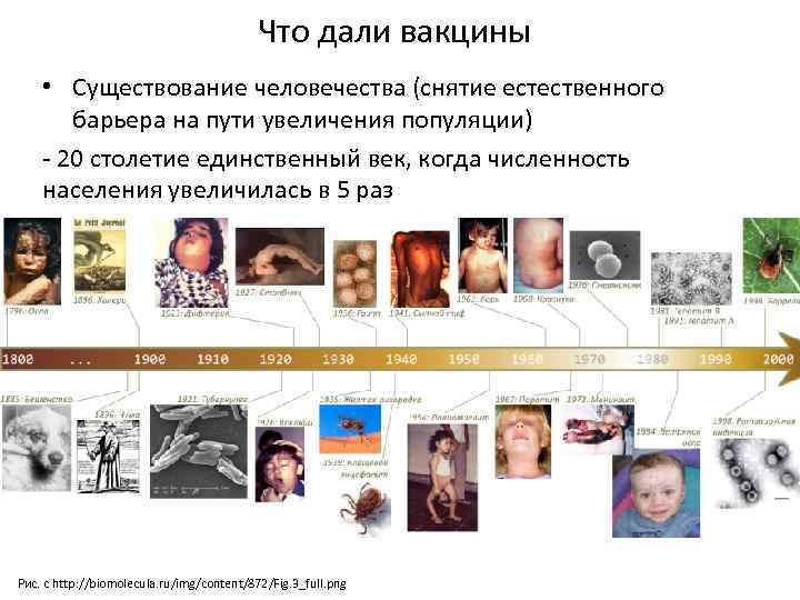 Что дали вакцины • Существование человечества (снятие естественного барьера на пути увеличения популяции) -